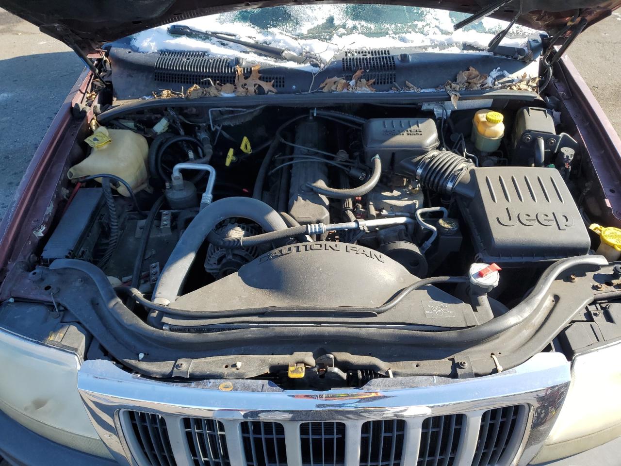 2000 Jeep Grand Cherokee VIN 1J4GW48S7YC134843 Copart auction photo, rear end damage thumbnail 12