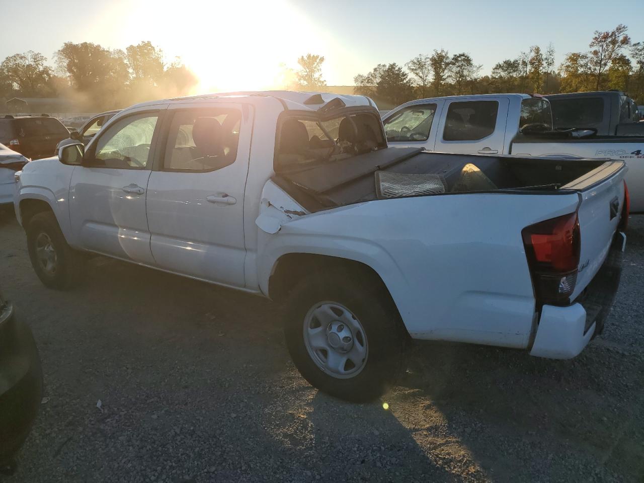 2019 Toyota Tacoma VIN 3TMCZ5AN0KM227490 Copart auction photo, rear end damage thumbnail 2