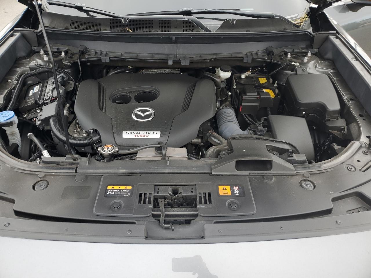 2022 Mazda CX-9 VIN JM3TCBDY8N0626832 Copart auction photo, side damage thumbnail 13