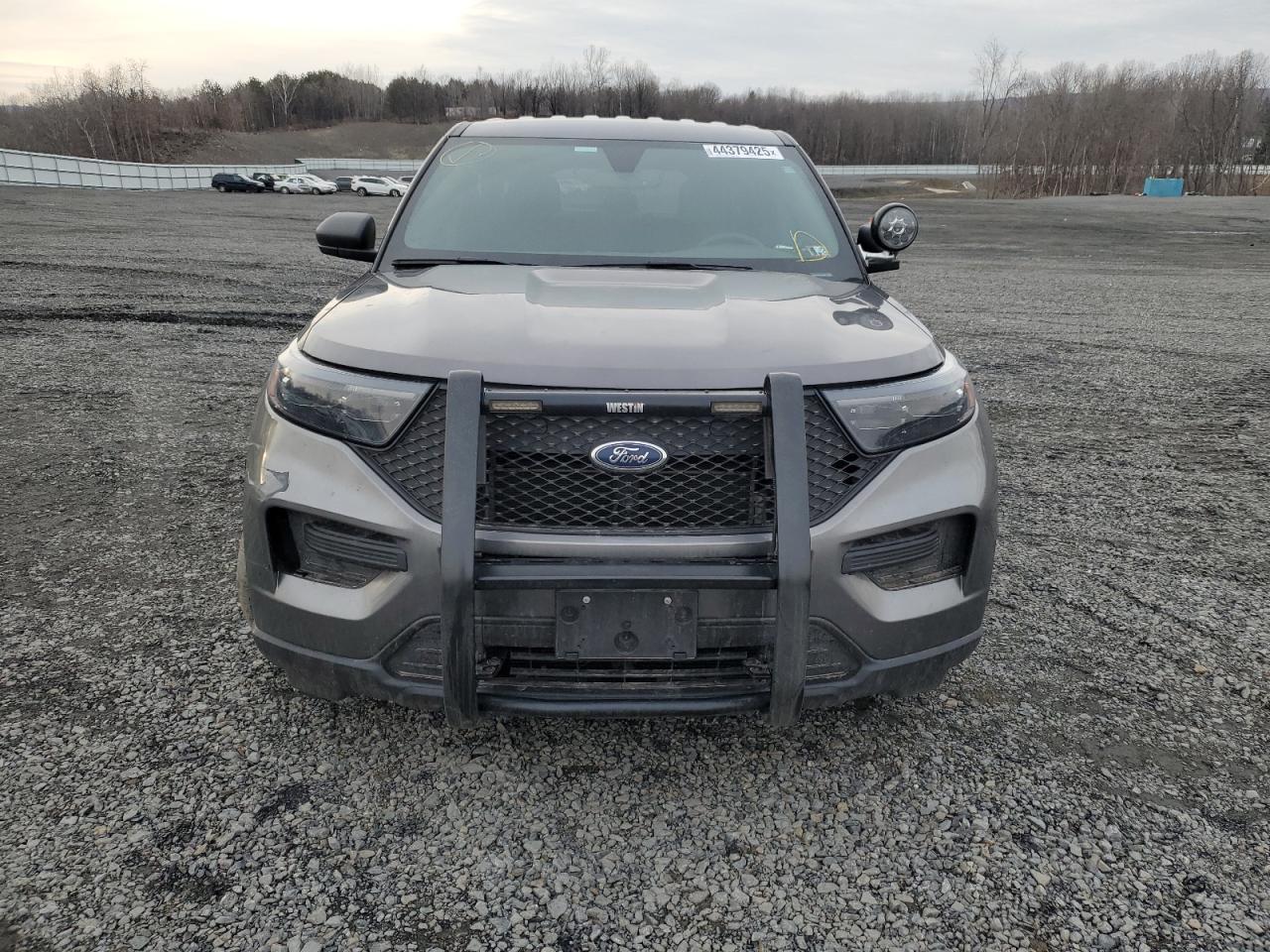 2020 Ford Explorer VIN 1FM5K8AB3LGA41955 Copart auction photo, side / minor dent/scratches damage thumbnail 5