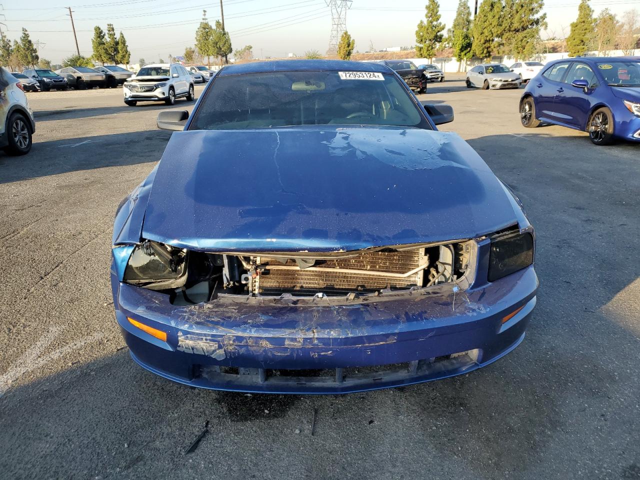 2006 Ford Mustang VIN 1ZVHT82H965231676 Copart auction photo, front end damage thumbnail 5