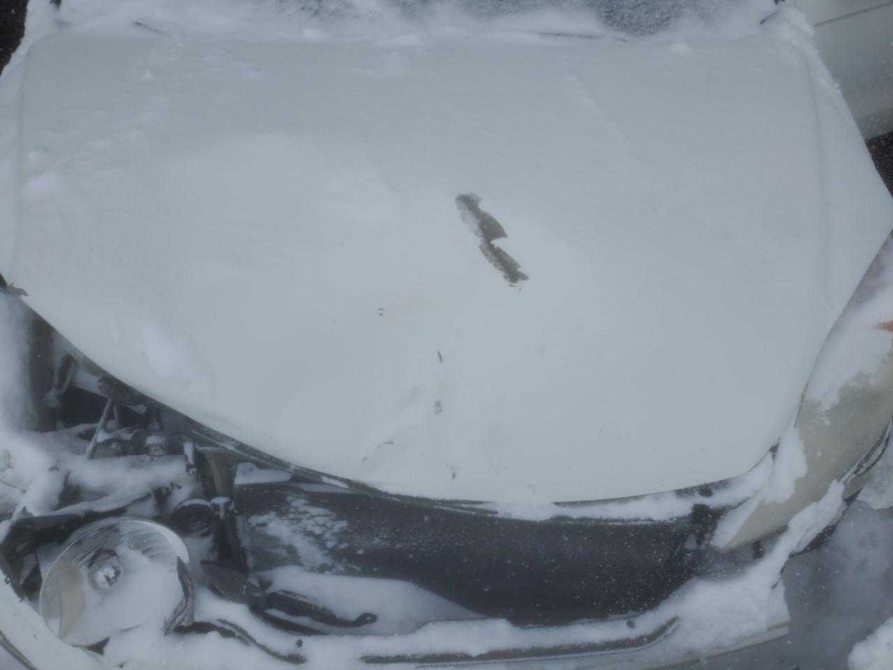 2011 Honda CR-V VIN JHLRE4H37BC035623 Copart auction photo, front end damage thumbnail 12