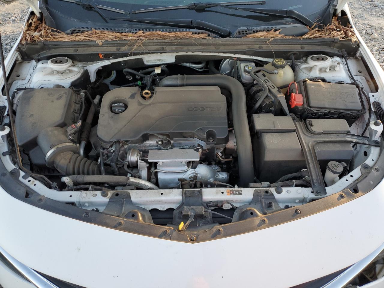 2019 Chevrolet Malibu VIN 1G1ZD5ST6KF118708 Copart auction photo, front end damage thumbnail 11