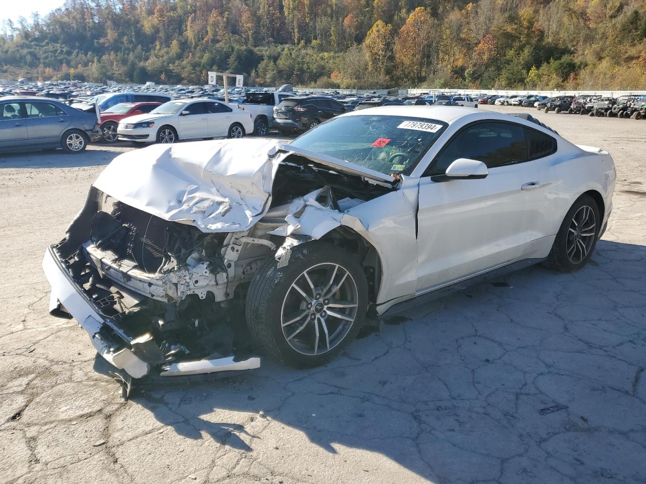 2017 Ford Mustang VIN 1FA6P8TH5H5338892