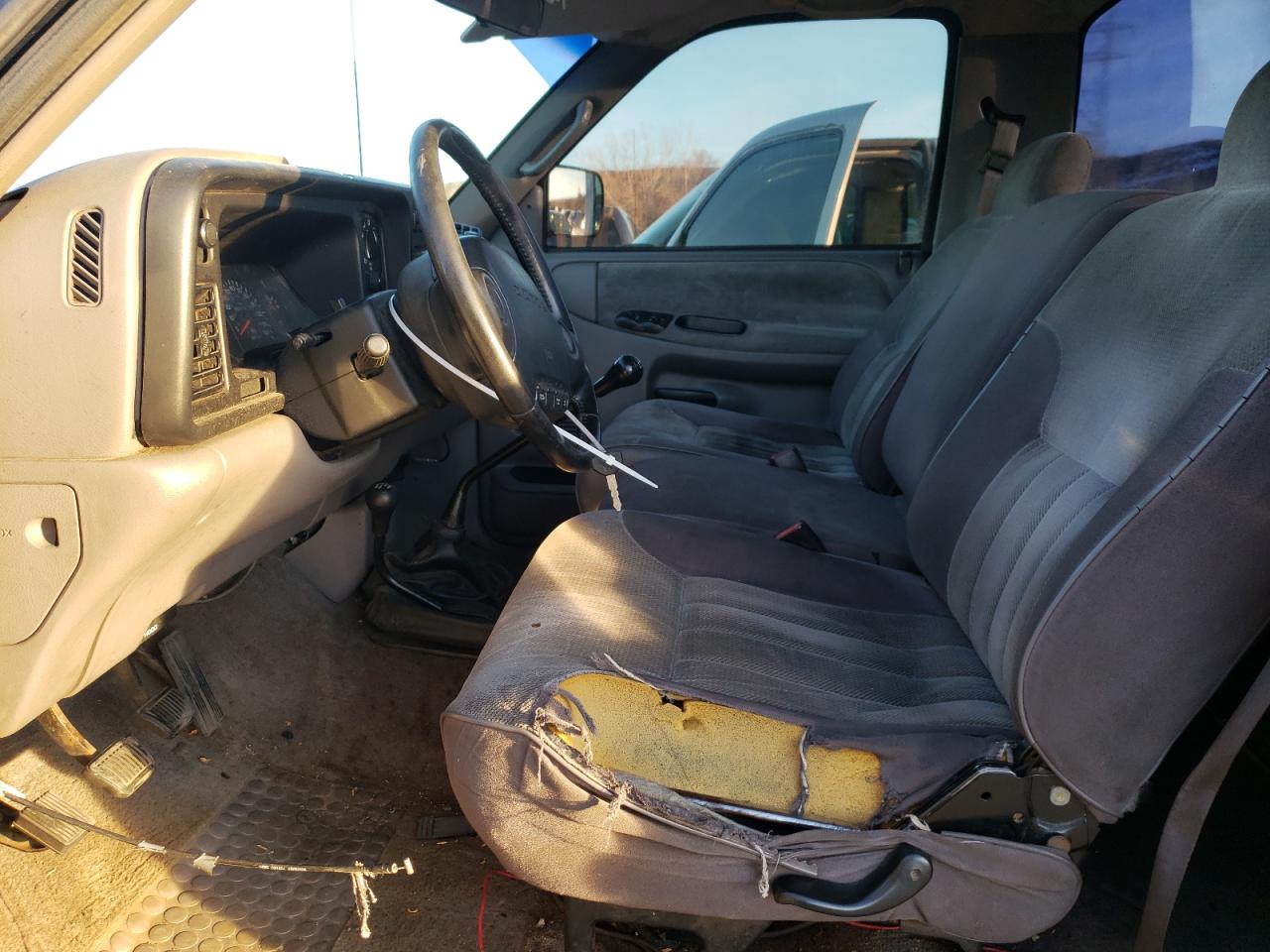 1996 Dodge RAM VIN 1B7HF16Y0TS572294 Copart auction photo, rear end / hail damage thumbnail 7