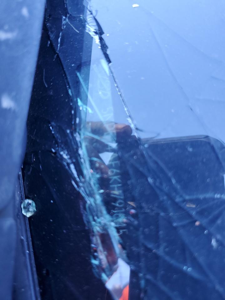 2019 Hyundai Sonata VIN 5NPE24AF6KH791845 Copart auction photo, all over damage thumbnail 12