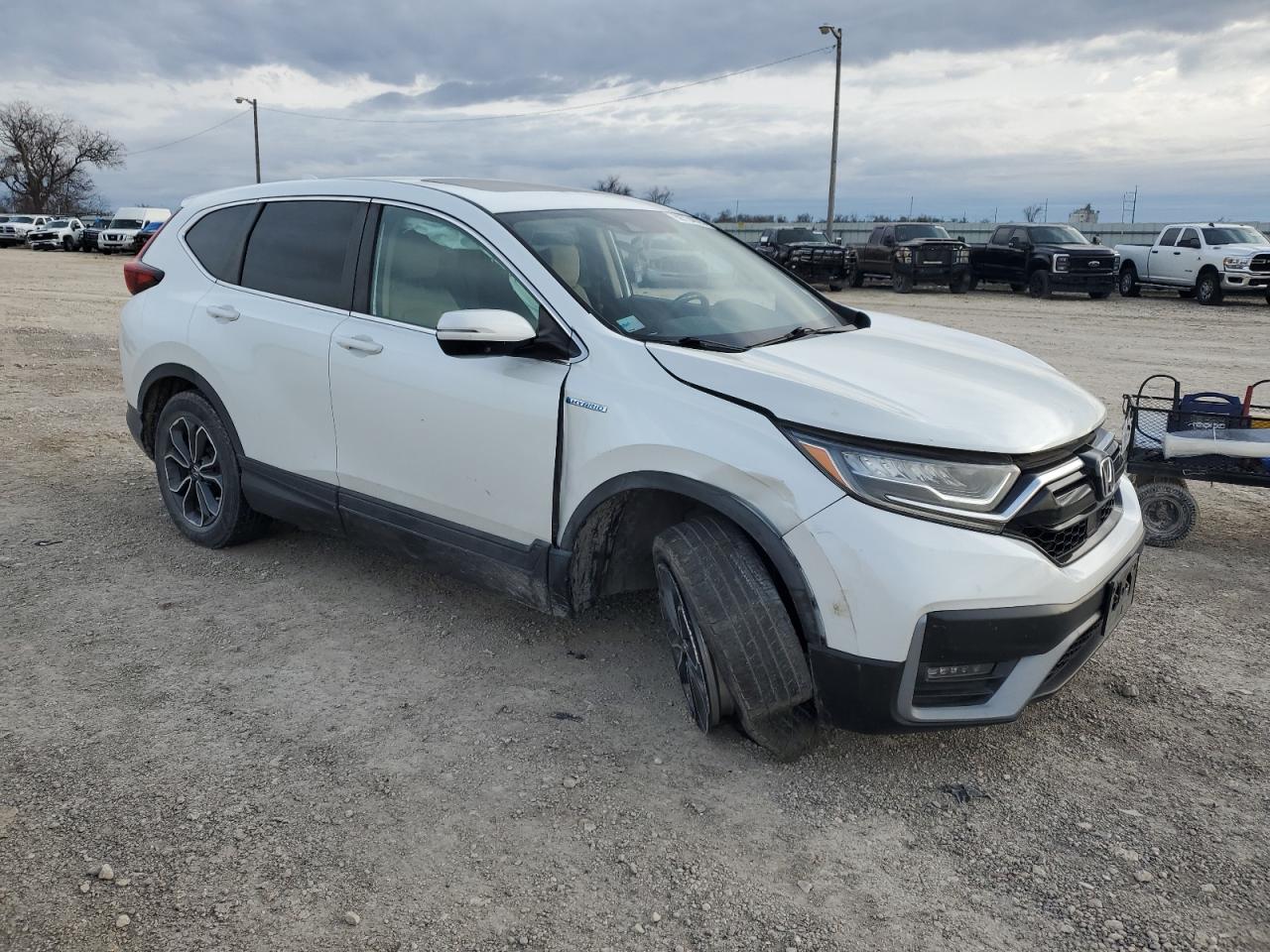 2020 Honda CR-V VIN 7FART6H59LE020579 Copart auction photo, side damage thumbnail 4
