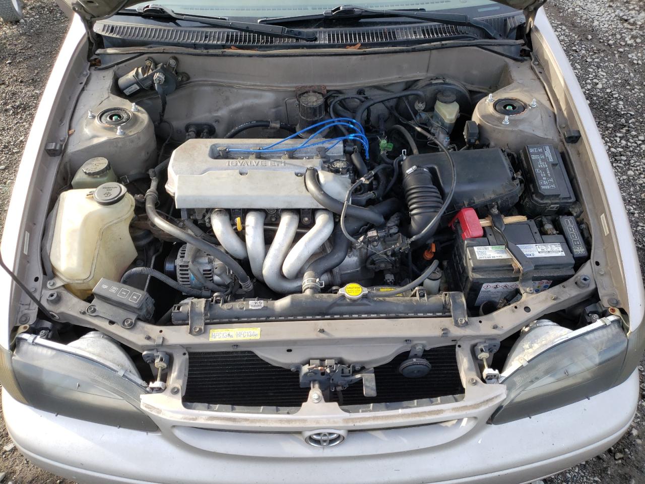 1999 Toyota Corolla VIN 1NXBR12E5XZ269641 Copart auction photo, side damage thumbnail 11