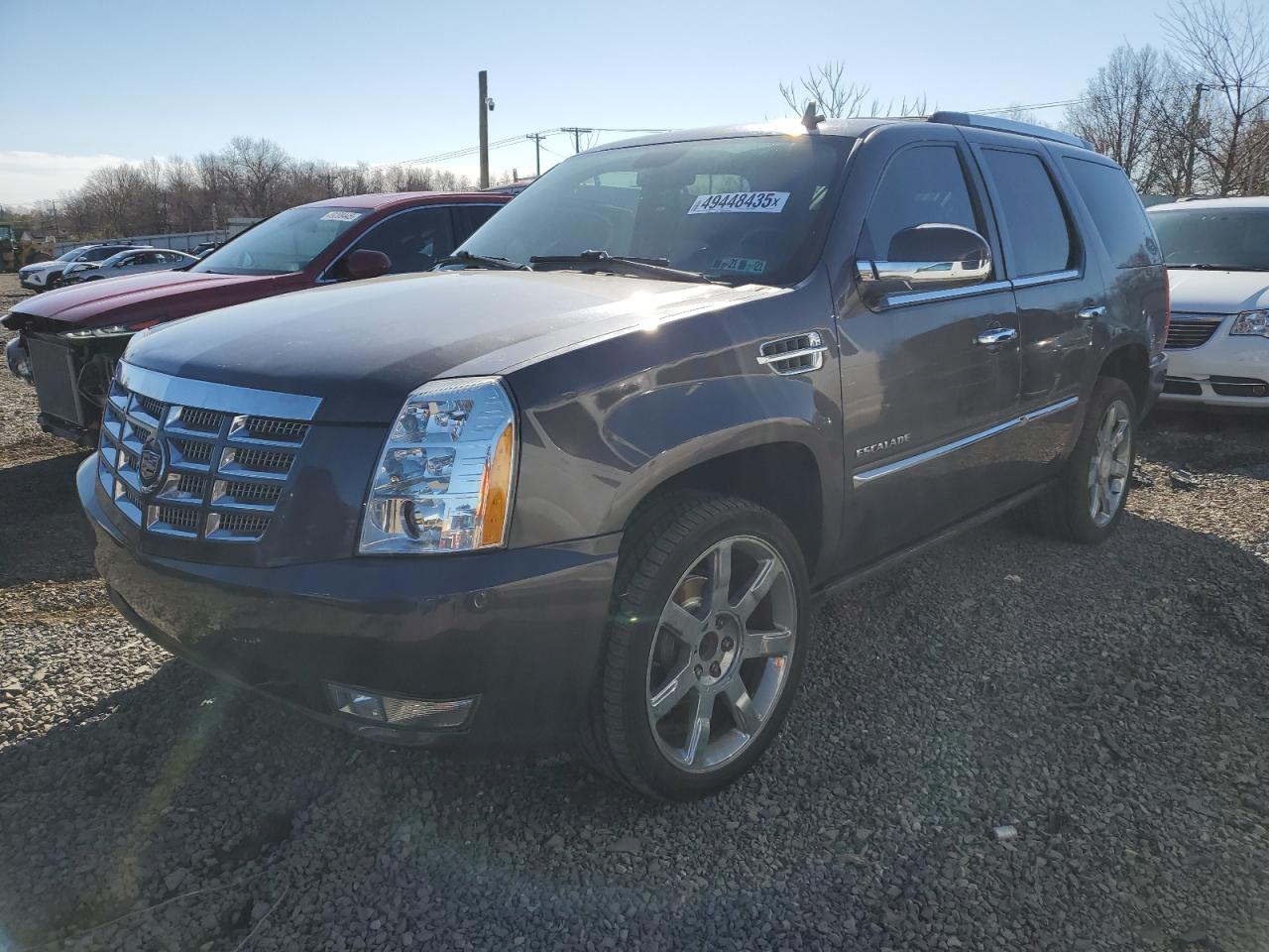 2010 Cadillac Escalade VIN 1GYUKCEF2AR264970 - Copart auction photo