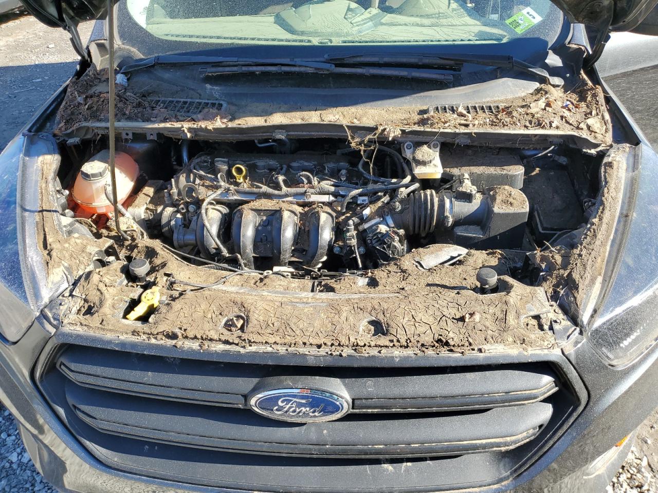 2019 Ford Escape VIN 1FMCU0F78KUB96315 Copart auction photo, water/flood damage thumbnail 12