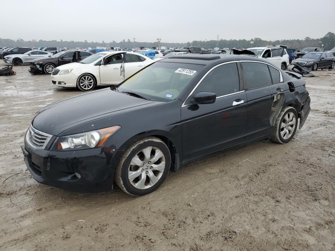 2010 Honda Accord VIN 1HGCP3F83AA019615