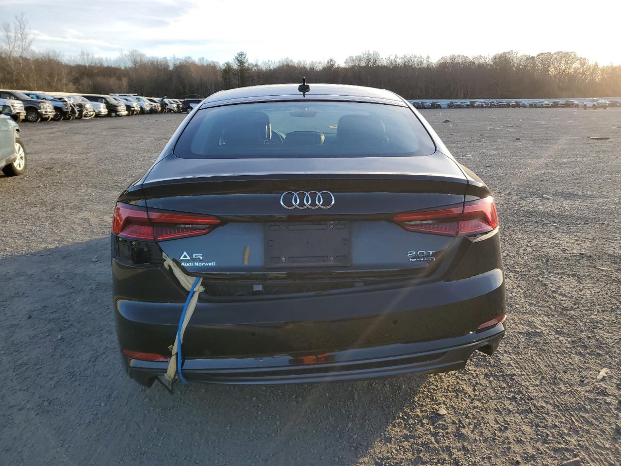 2018 Audi A5 VIN WAUENCF54JA009501 Copart auction photo, side damage thumbnail 6