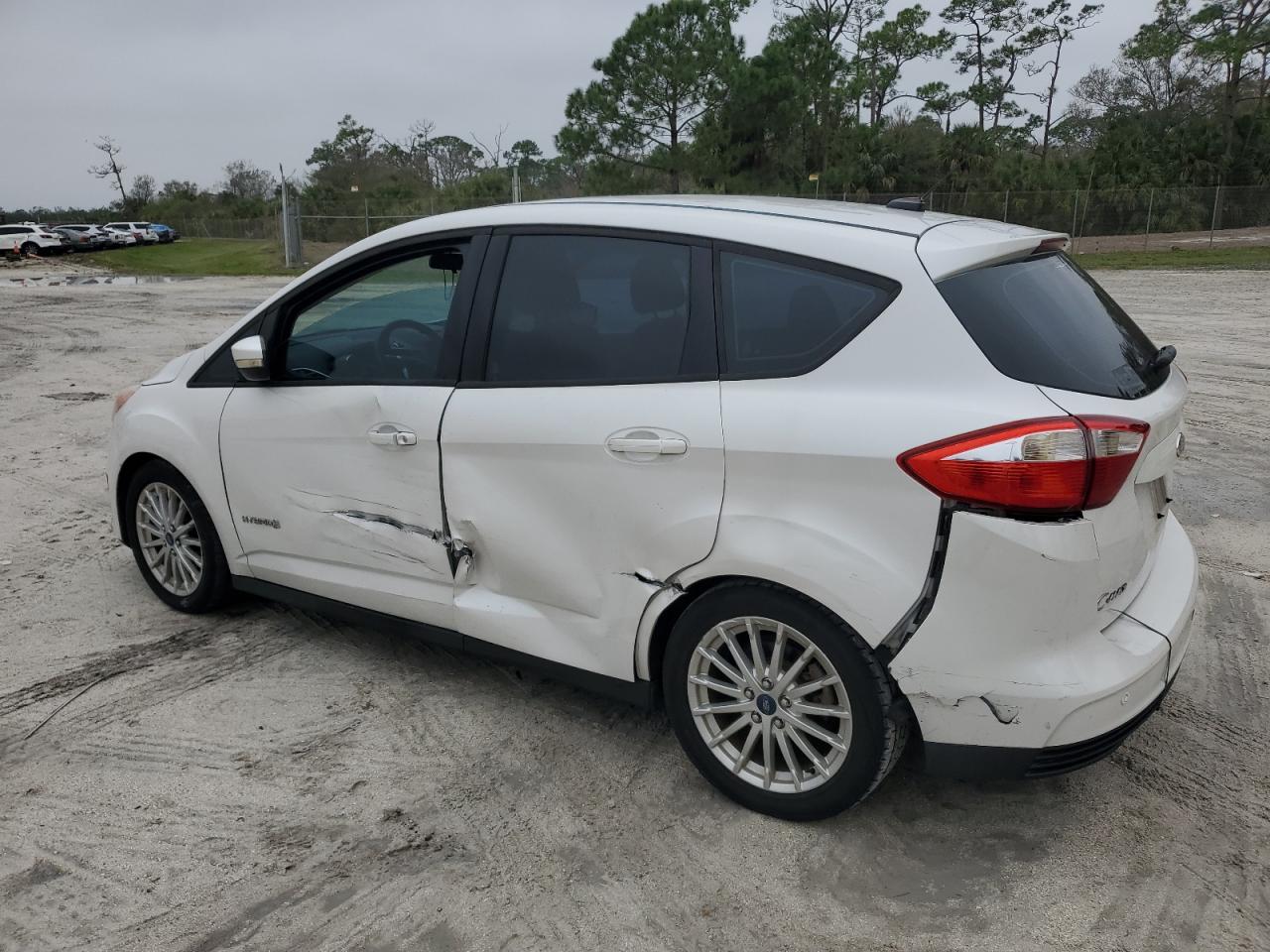 2013 Ford C-MAX VIN 1FADP5AU2DL529262 Copart auction photo, side damage thumbnail 2