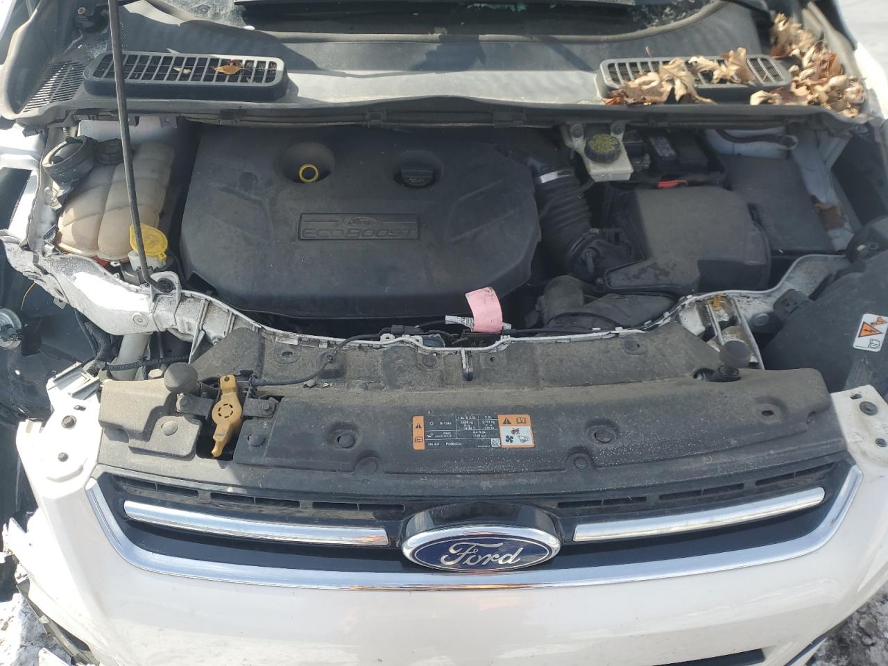 2014 Ford Escape VIN 1FMCU9J9XEUB40409 Copart auction photo, front end / minor dent/scratches damage thumbnail 13
