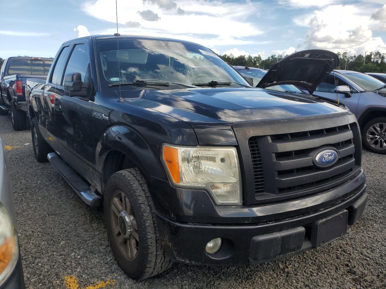 2010 Ford F-150 VIN 1FTEX1CW3AKB48284 Copart auction photo, water/flood damage thumbnail 4
