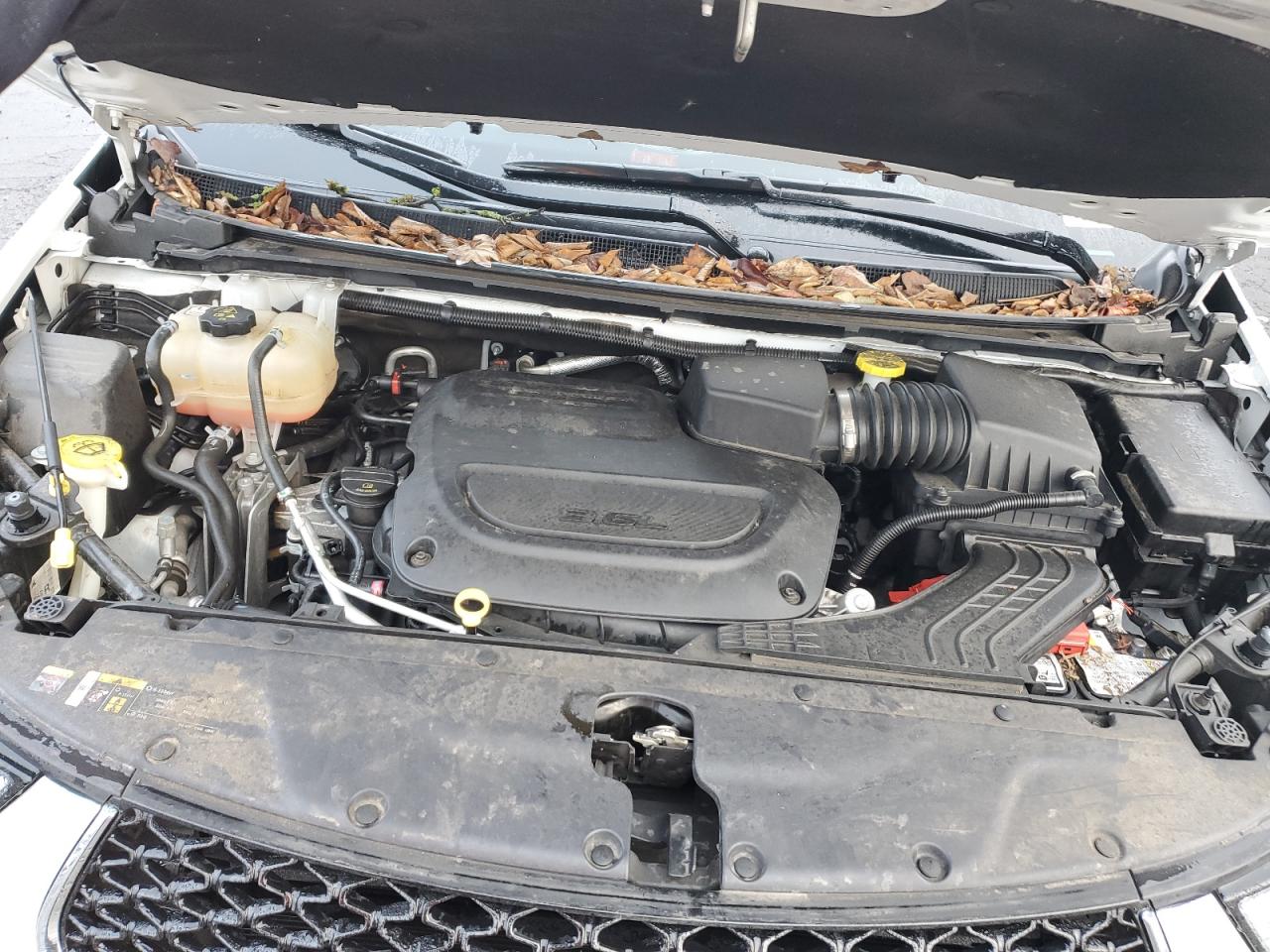 2022 Chrysler Pacifica VIN 2C4RC1BG3NR190145 Copart auction photo, biohazard/chemical damage thumbnail 11
