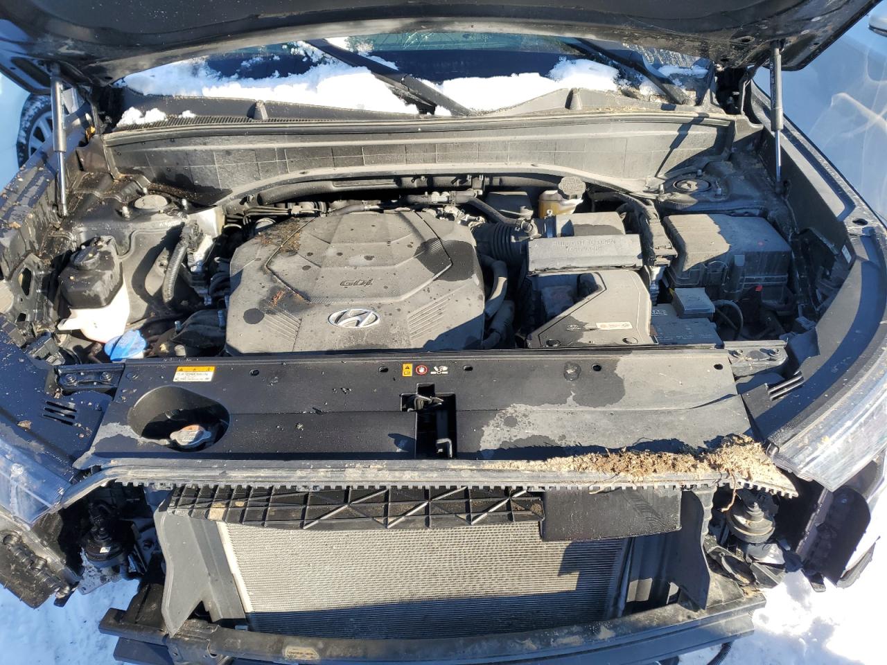 2022 Hyundai Palisade VIN KM8R14HE0NU353183 Copart auction photo, all over damage thumbnail 12