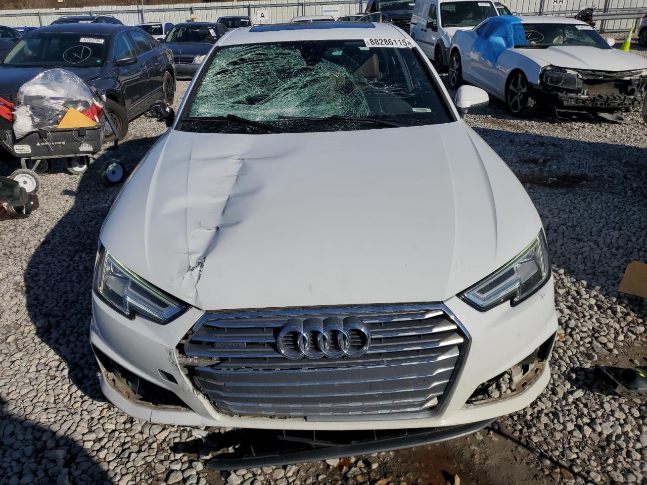 2019 Audi A4 VIN WAUENAF43KA014153 Copart auction photo, all over / side damage thumbnail 5