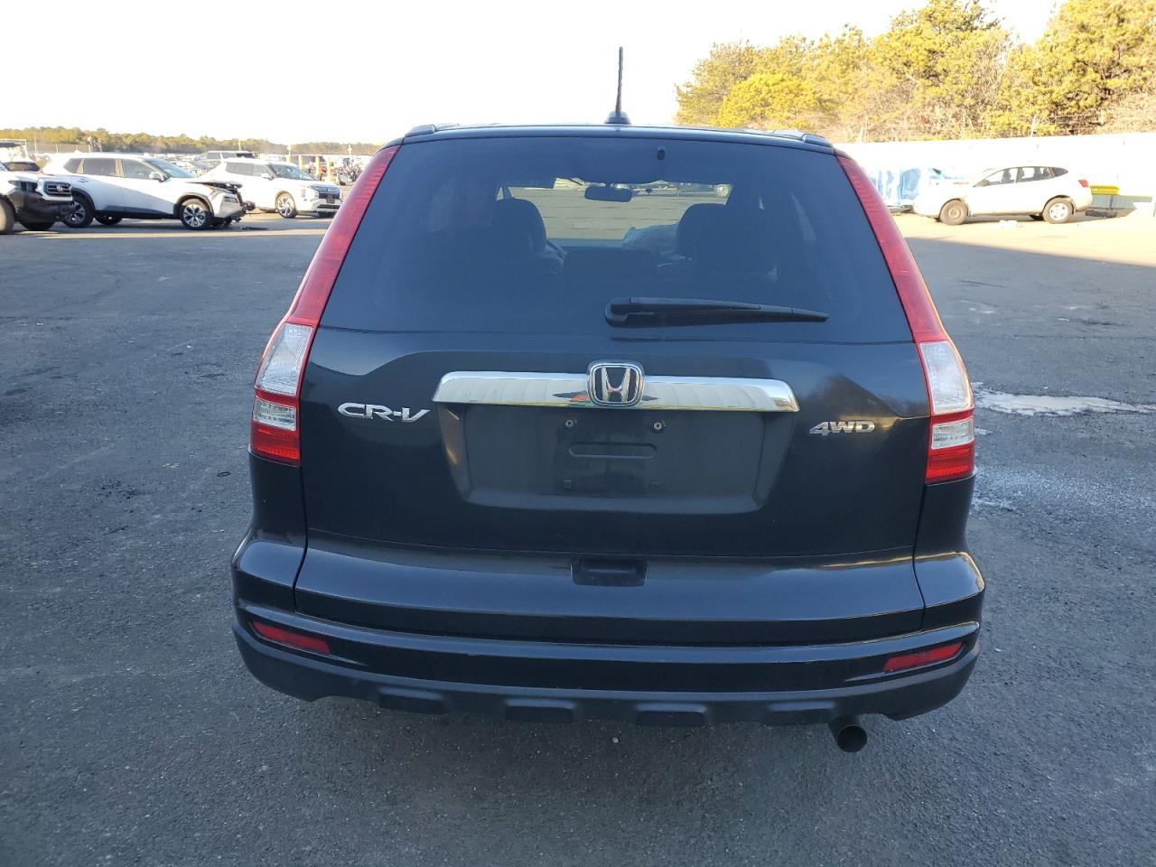 2010 Honda CR-V VIN 5J6RE4H75AL014973 Copart auction photo, front end / minor dent/scratches damage thumbnail 6