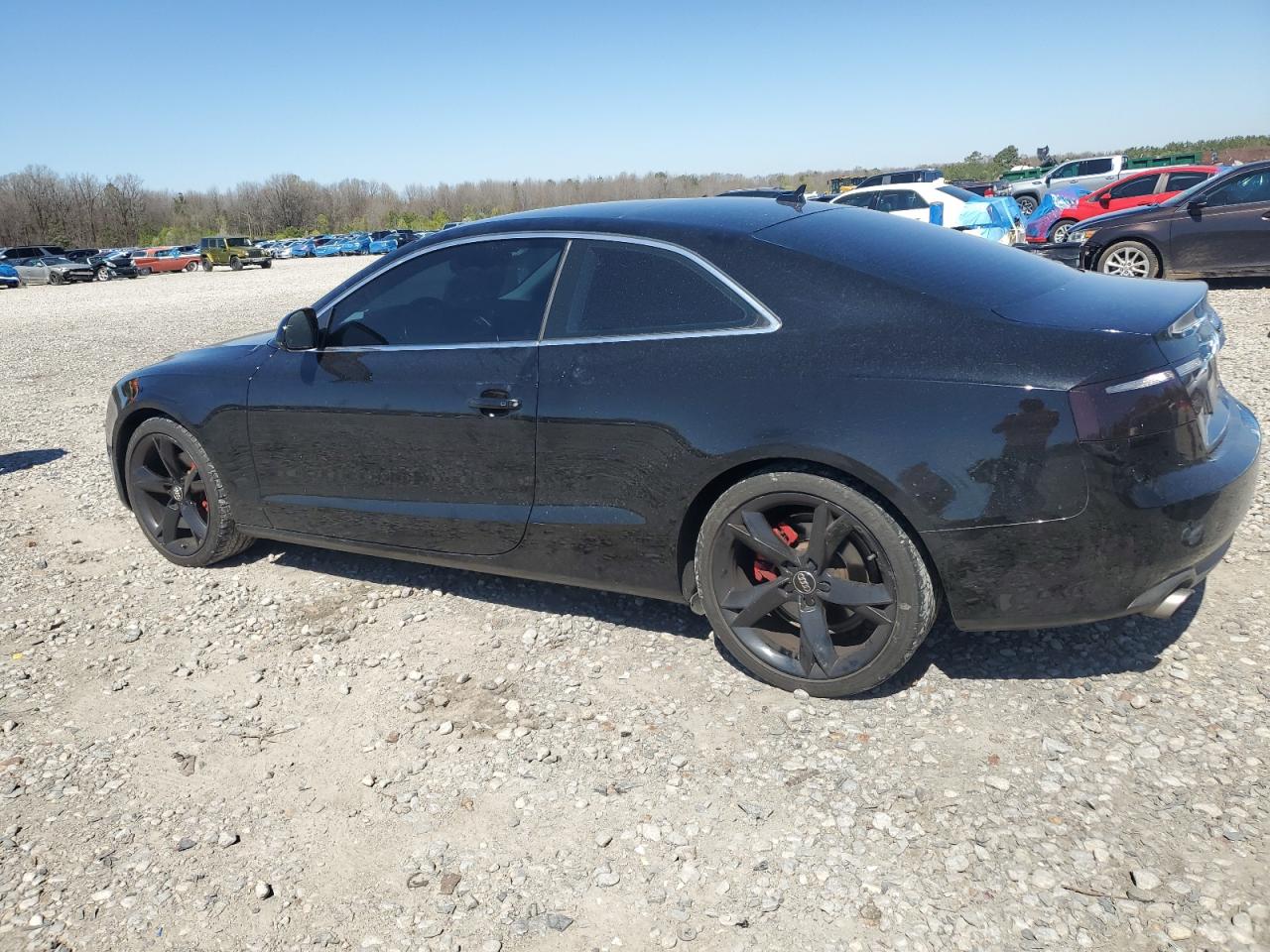 2009 Audi A5 VIN WAUDK78T79A031317 Copart auction photo, water/flood / minor dent/scratches damage thumbnail 2