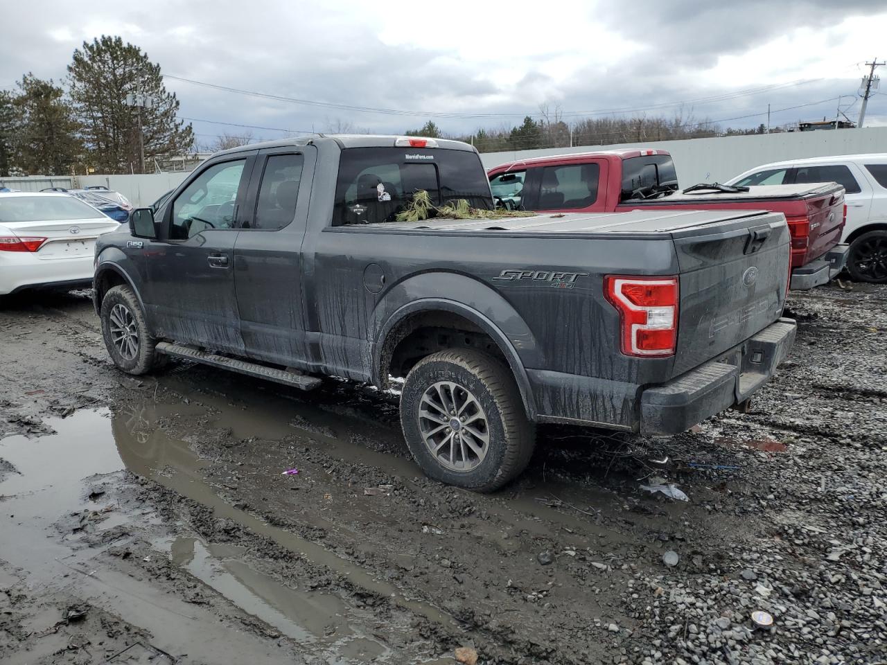 2020 Ford F-150 VIN 1FTFX1E48LFA44191 Copart auction photo, top/roof damage thumbnail 2