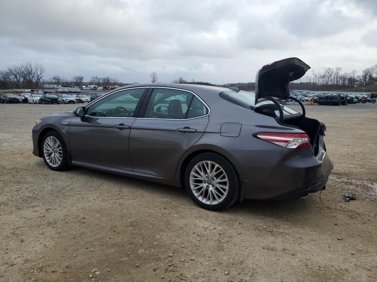 2019 Toyota Camry VIN 4T1B21HK0KU514825 Copart auction photo, rear end / front end damage thumbnail 2