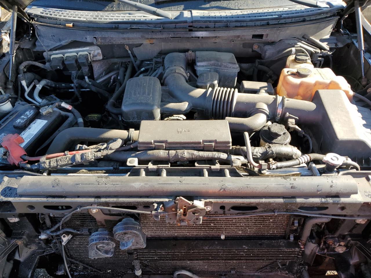2010 Ford F-150 VIN 1FTFW1EV2AFA86980 Copart auction photo, vandalism damage thumbnail 11