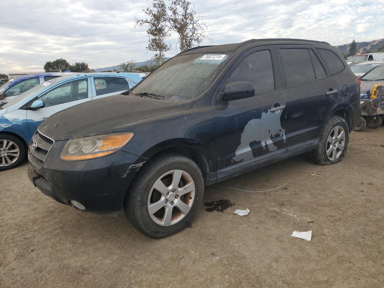 2009 Hyundai Santa Fe VIN 5NMSH13E99H315651