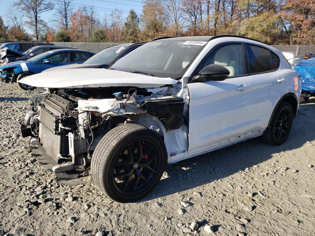 2020 Alfa Romeo Stelvio VIN ZASPAKAN5L7C85671