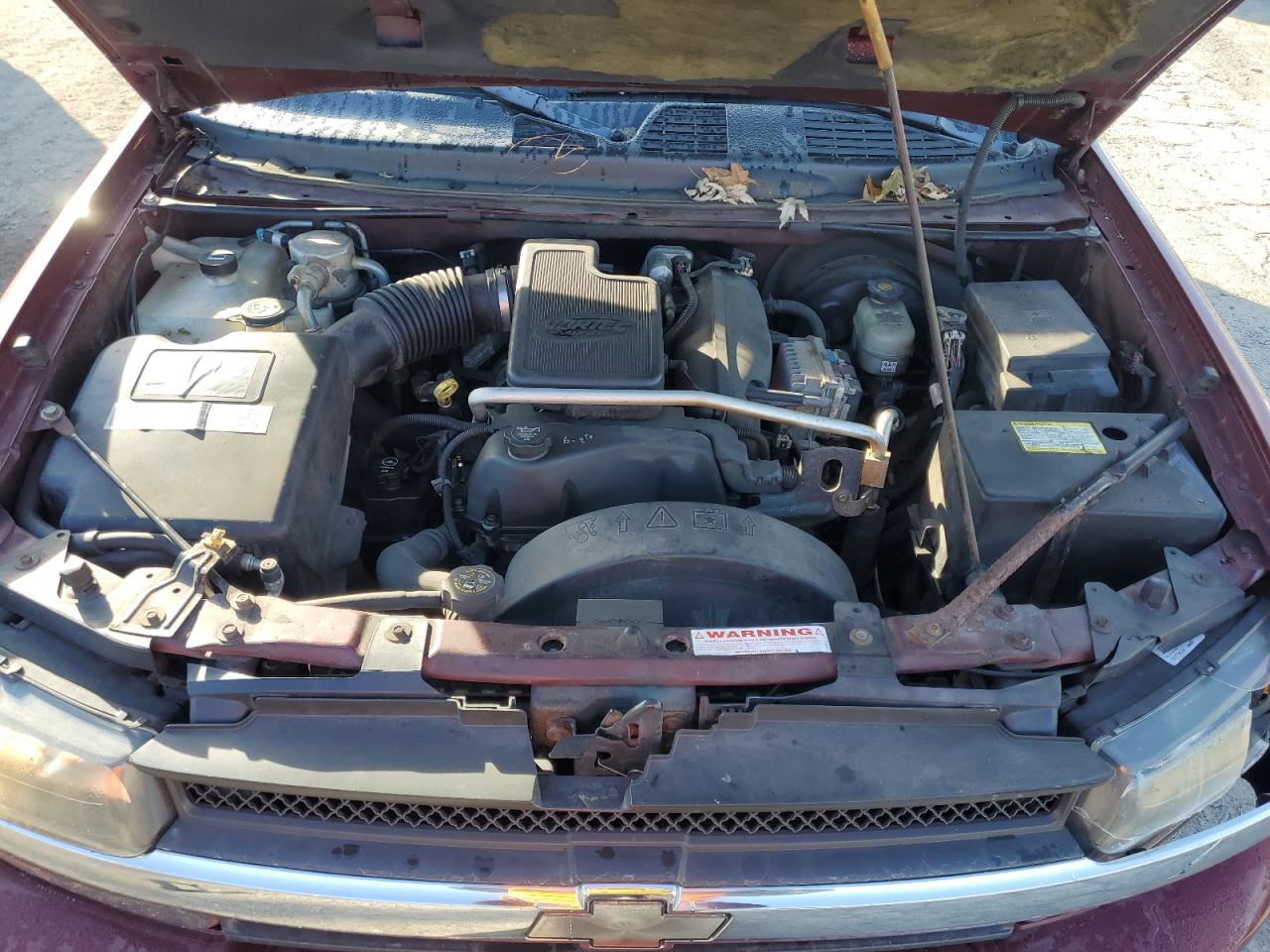 2004 Chevrolet TrailBlazer VIN 1GNET16S746190739 Copart auction photo, front end / minor dent/scratches damage thumbnail 13