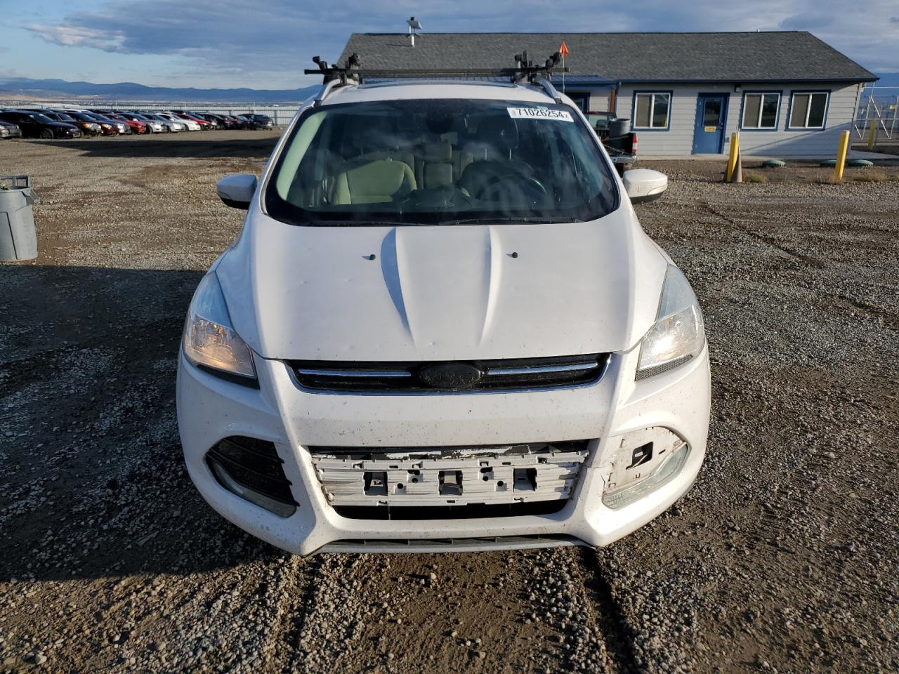 2014 Ford Escape VIN 1FMCU9J95EUA23725 Copart auction photo, all over / minor dent/scratches damage thumbnail 5