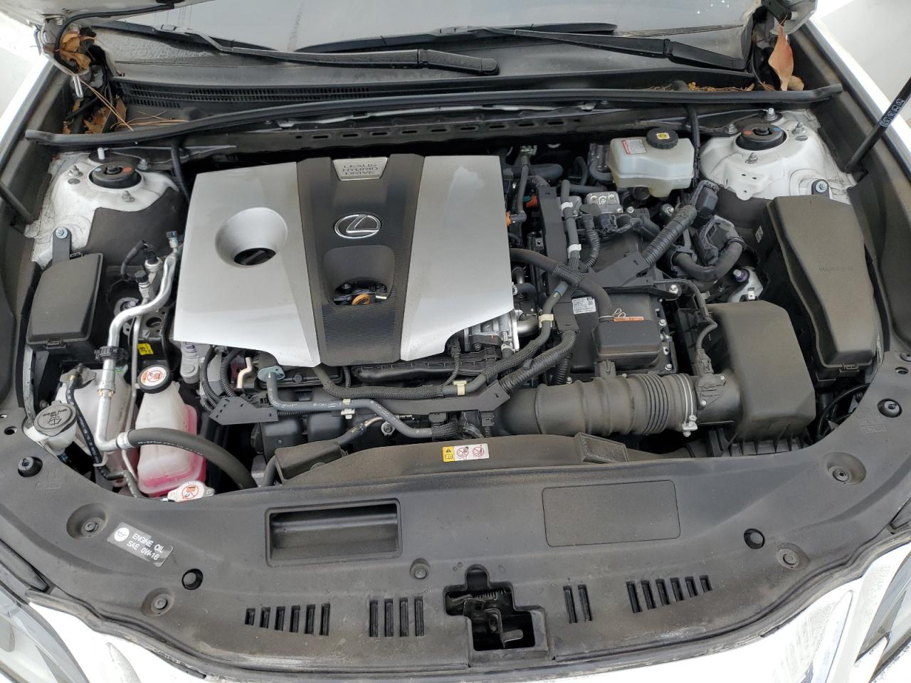 2021 Lexus ES VIN 58ADA1C11MU010399 Copart auction photo, rear end / front end damage thumbnail 13