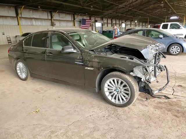 2013 BMW 5er VIN WBAFR7C52DC823899 Copart auction photo, front end damage thumbnail 10