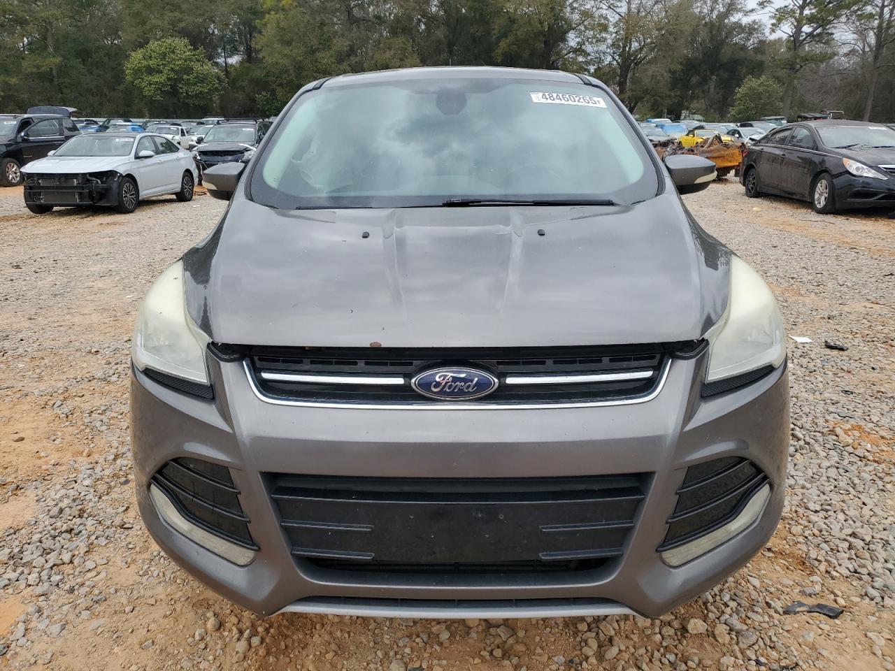 2013 Ford Escape VIN 1FMCU9H93DUA10167 Copart auction photo, side damage thumbnail 5