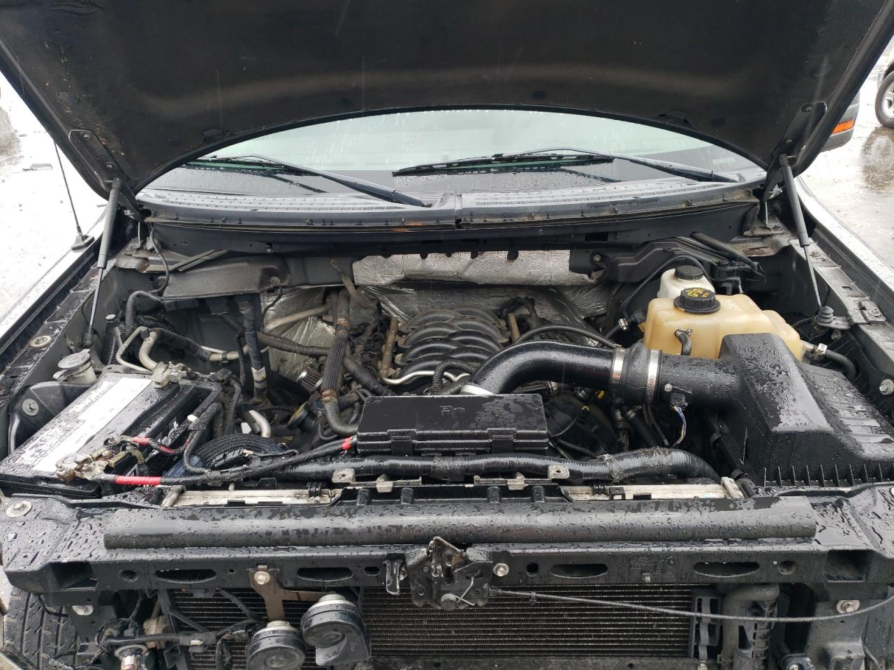 2011 Ford F-150 VIN 1FTFW1EF8BFC43440 Copart auction photo, vandalism / front end damage thumbnail 13