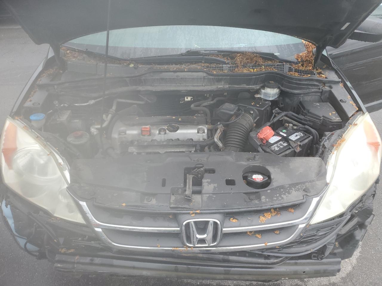 2010 Honda CR-V VIN 5J6RE4H34AL081903 Copart auction photo, all over damage thumbnail 12