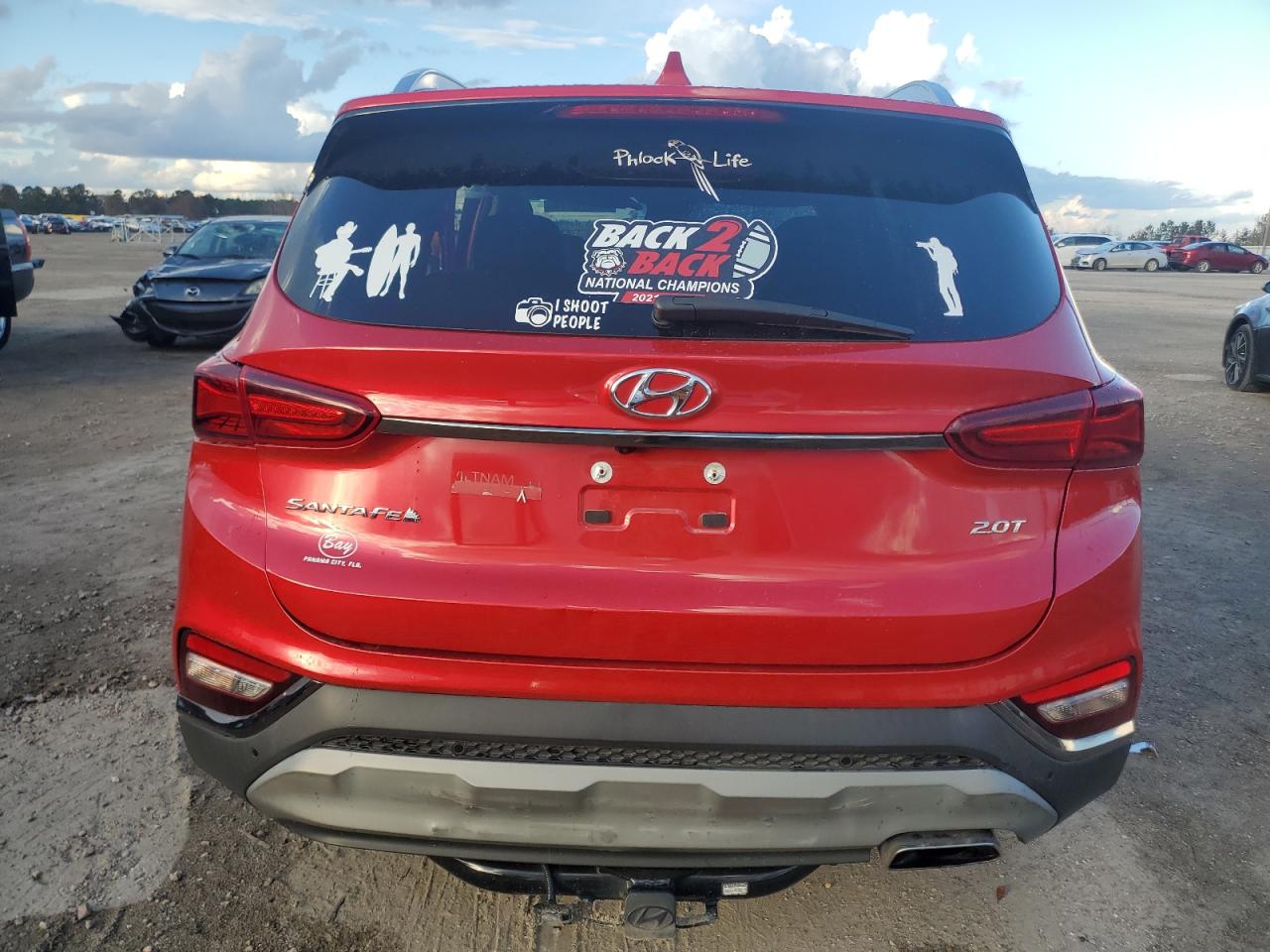 2020 Hyundai Santa Fe VIN 5NMS53AA3LH256897 Copart auction photo, all over damage thumbnail 6