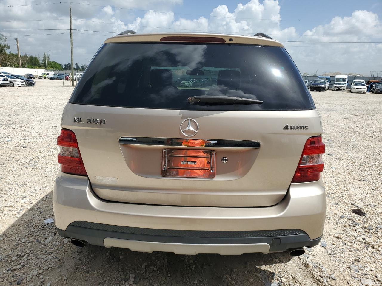 2007 Mercedes-Benz M-klasse VIN 4JGBB86E37A161009 Copart auction photo, side damage thumbnail 6