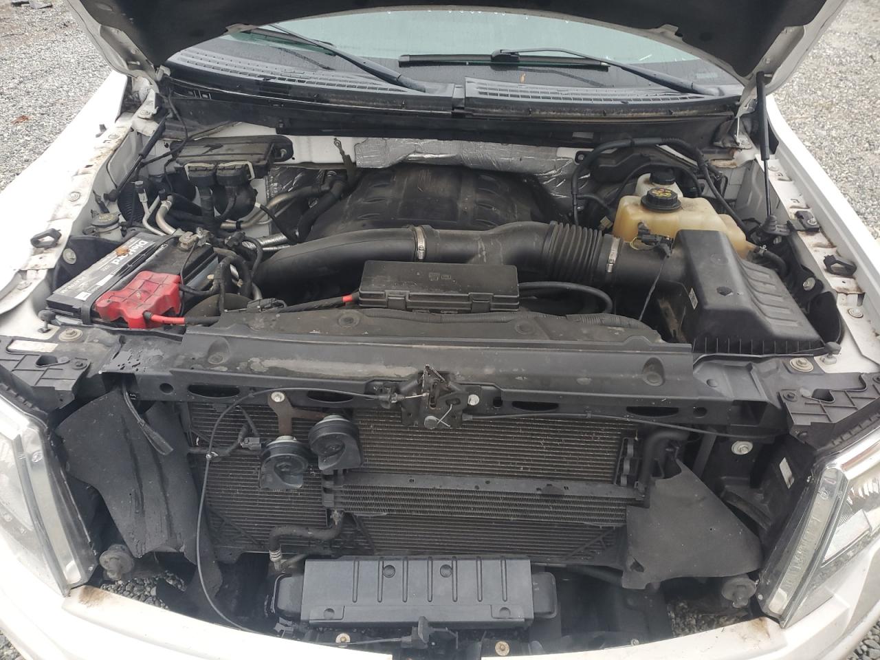 2012 Ford F-150 VIN 1FTFW1ET5CFC47954 Copart auction photo, all over damage thumbnail 11