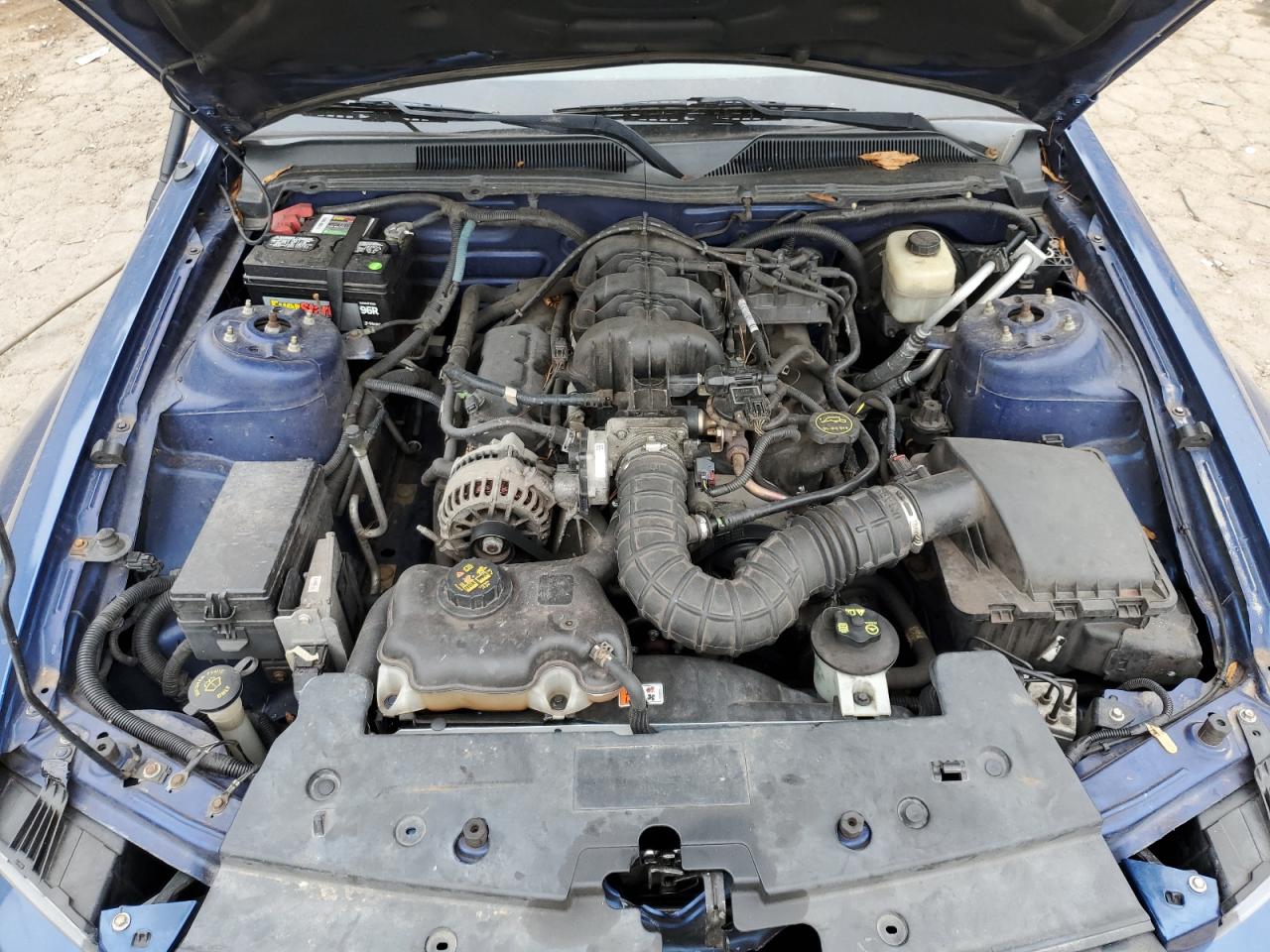 2008 Ford Mustang VIN 1ZVHT80N485115068 Copart auction photo, side / front end damage thumbnail 11