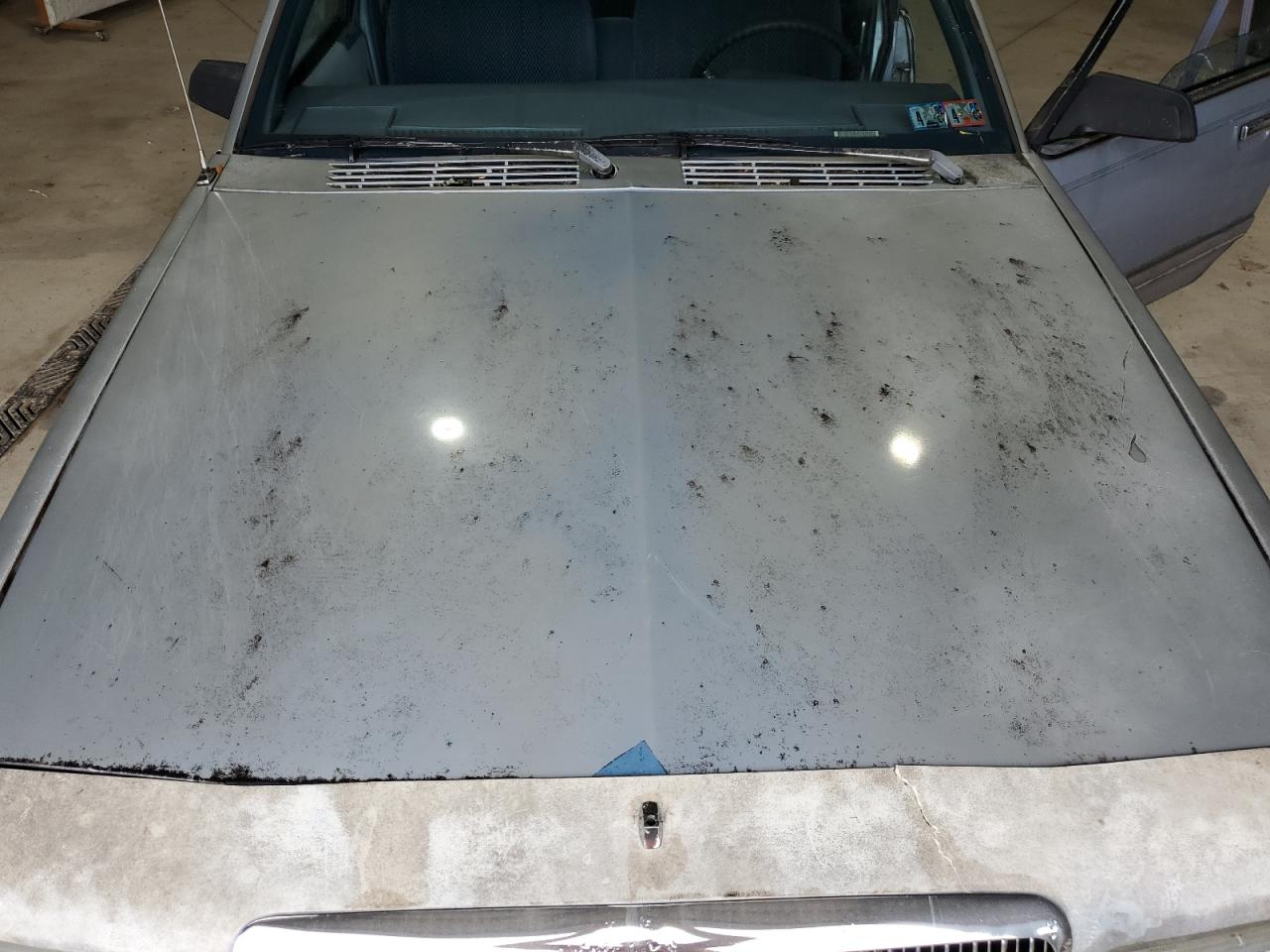 1994 Buick Century VIN 1G4AG55M8R6411192 Copart auction photo, side / minor dent/scratches damage thumbnail 11