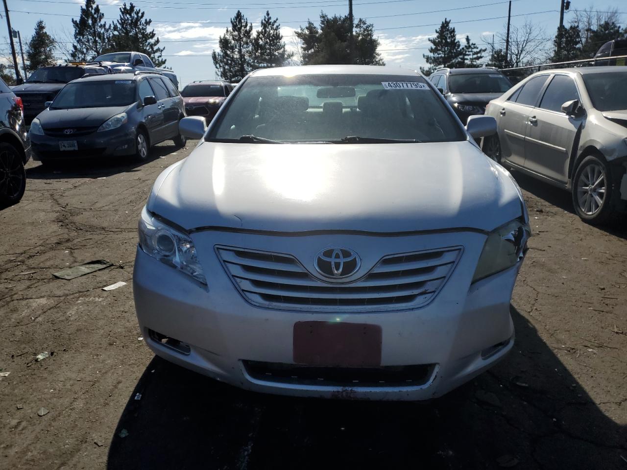 2010 Toyota Camry VIN 4T1BK3EK3AU098994 Copart auction photo, all over / hail damage thumbnail 5