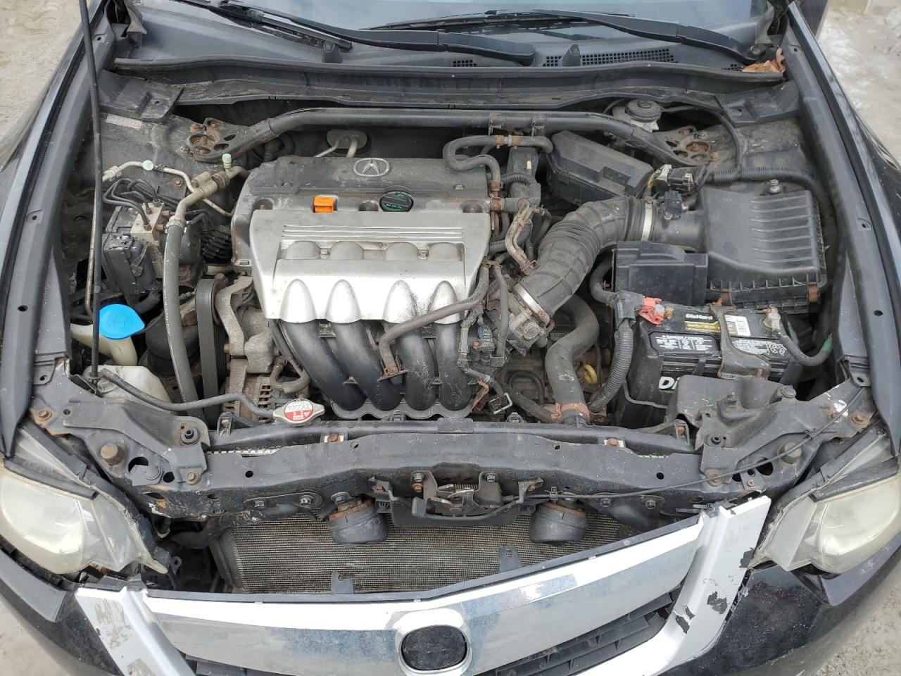 2009 Acura TSX VIN JH4CU26649C017774 Copart auction photo, front end / minor dent/scratches damage thumbnail 11