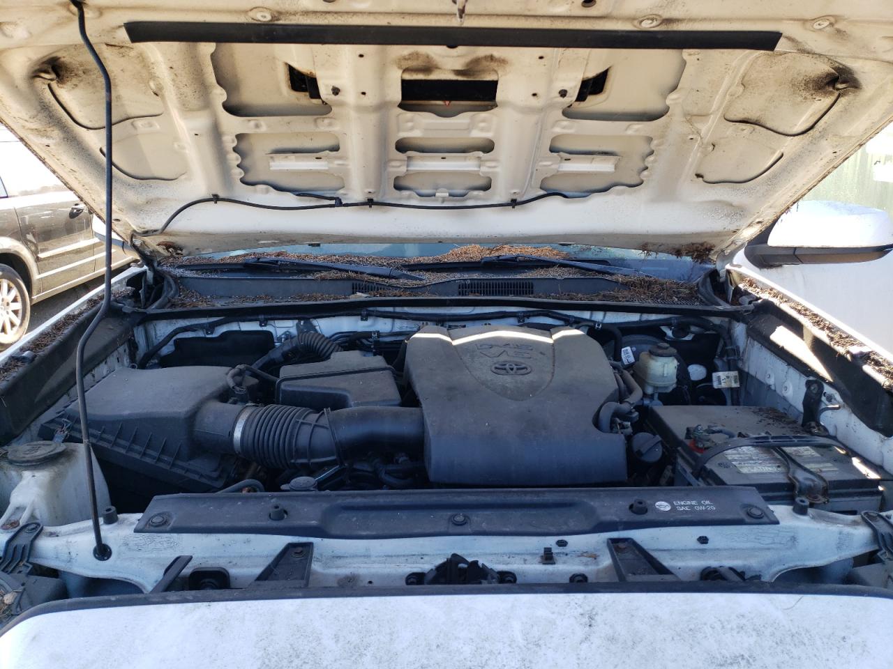 2018 Toyota Tacoma VIN 3TMDZ5BN1JM041331 Copart auction photo, side / minor dent/scratches damage thumbnail 11