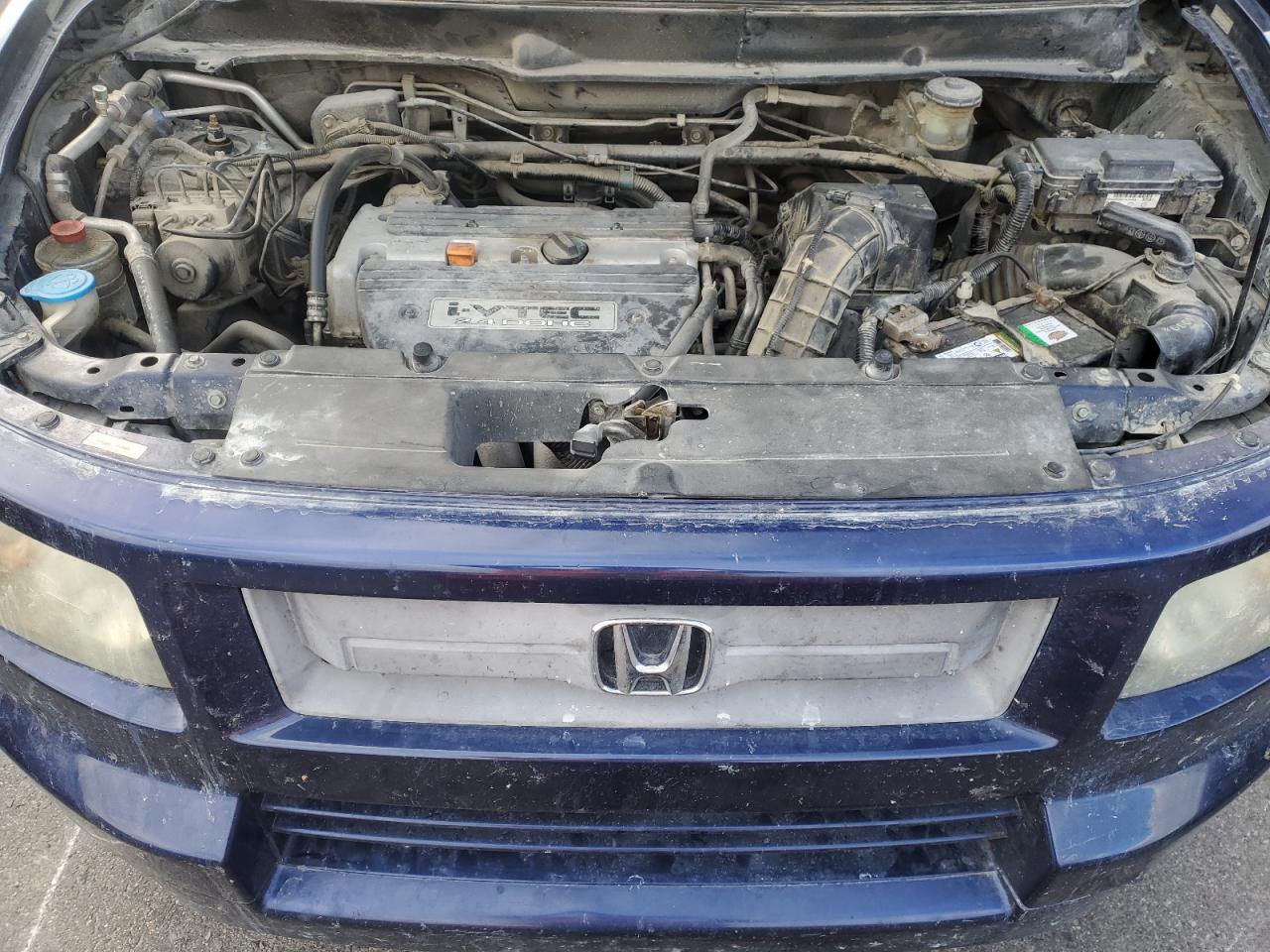 2008 Honda Element VIN 5J6YH18928L016502 Copart auction photo, rear end damage thumbnail 12
