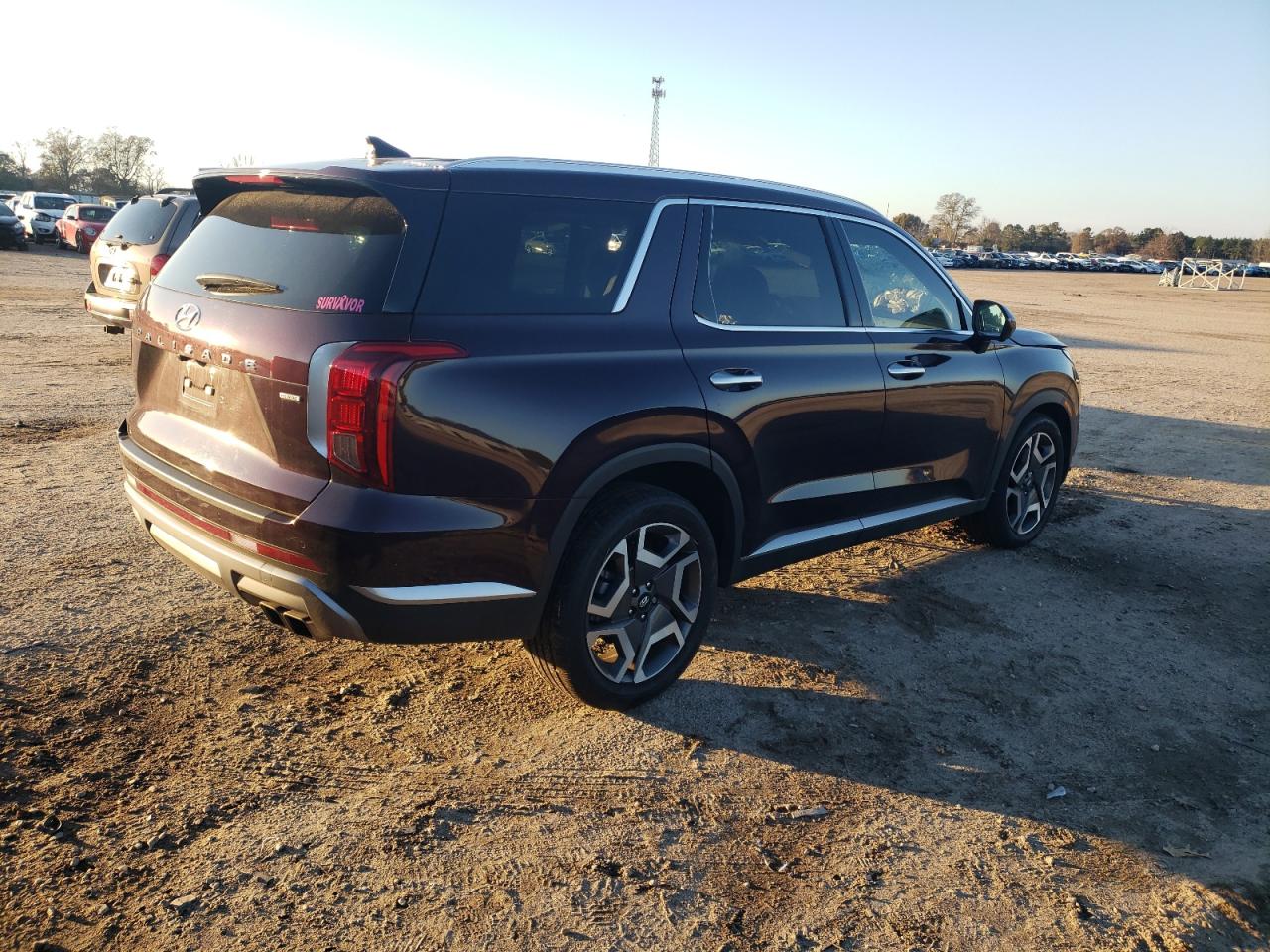2024 Hyundai Palisade VIN KM8R4DGE9RU657949 Copart auction photo, all over damage thumbnail 3