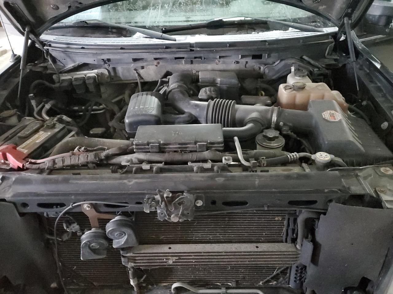 2010 Ford F-150 VIN 1FTFW1EV8AFD31300 Copart auction photo, water/flood / undercarriage damage thumbnail 11