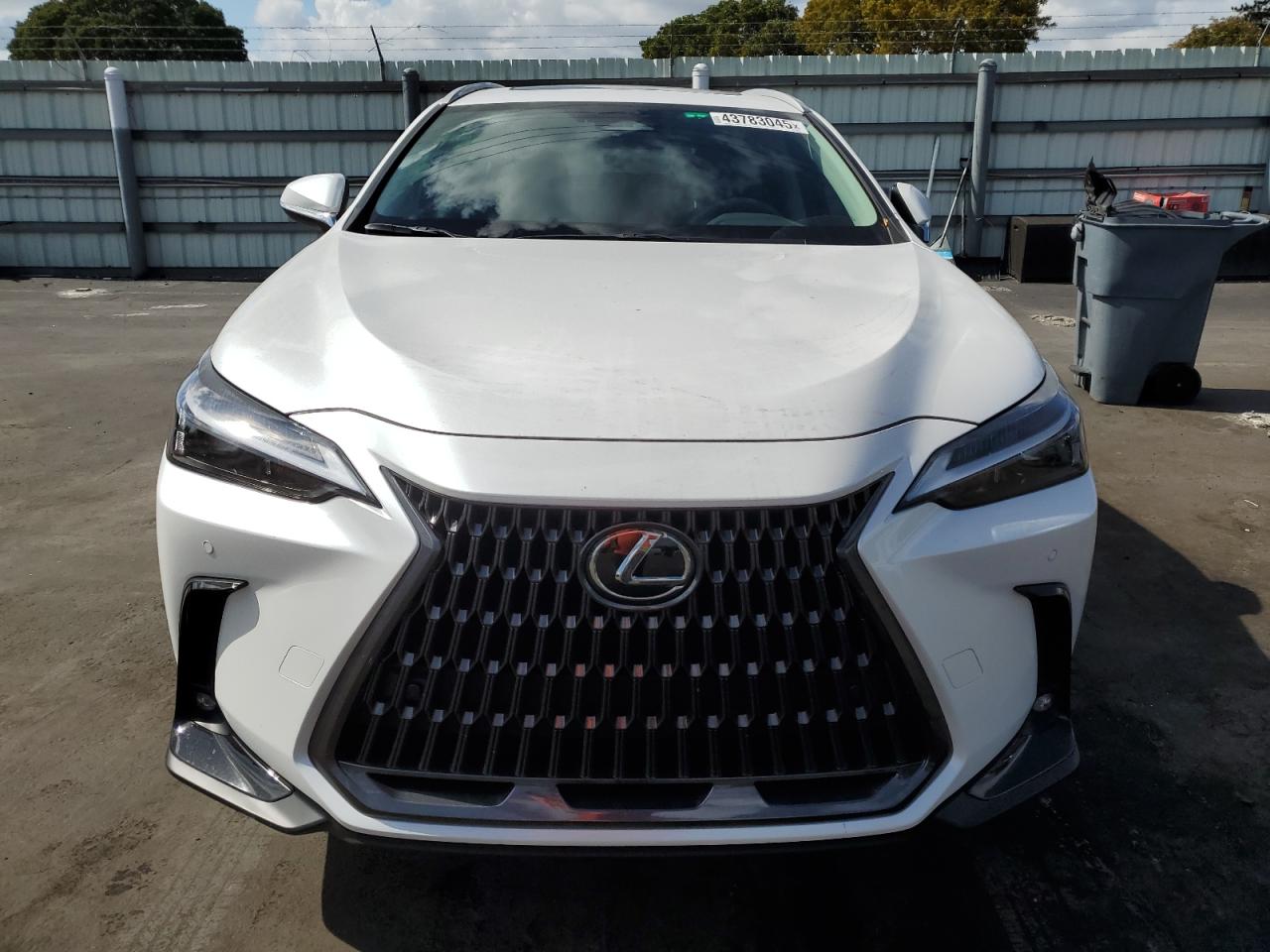 2024 Lexus NX VIN 2T2GDCAZ6RC015232 Copart auction photo, rear end / side damage thumbnail 5