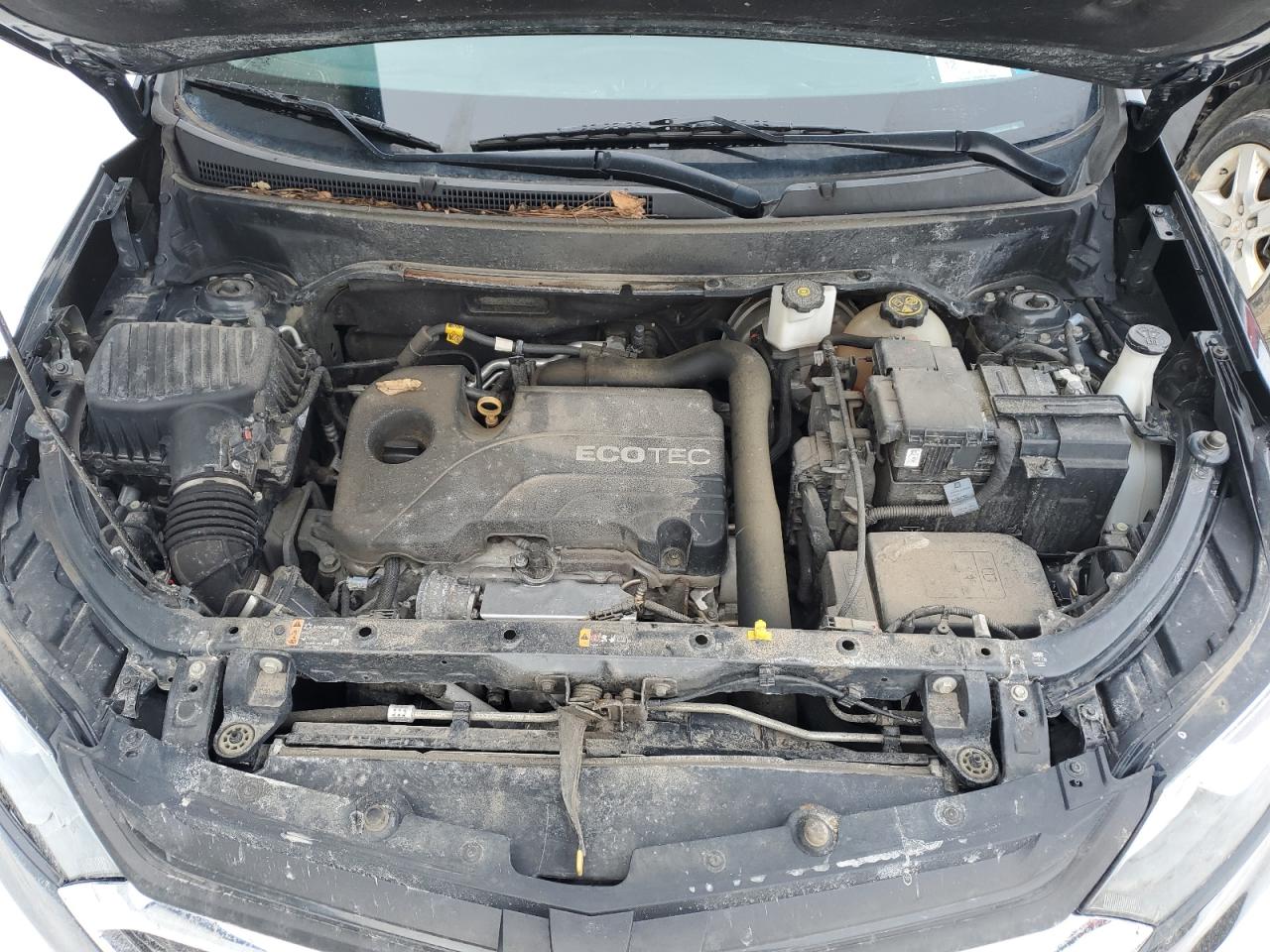 2021 Chevrolet Equinox VIN 2GNAXSEV9M6124644 Copart auction photo, front end / minor dent/scratches damage thumbnail 12