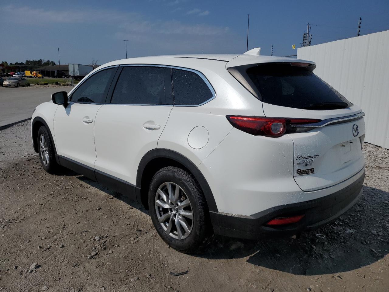 2016 Mazda CX-9 VIN JM3TCBCY6G0114619 Copart auction photo, minor dent/scratches damage thumbnail 2